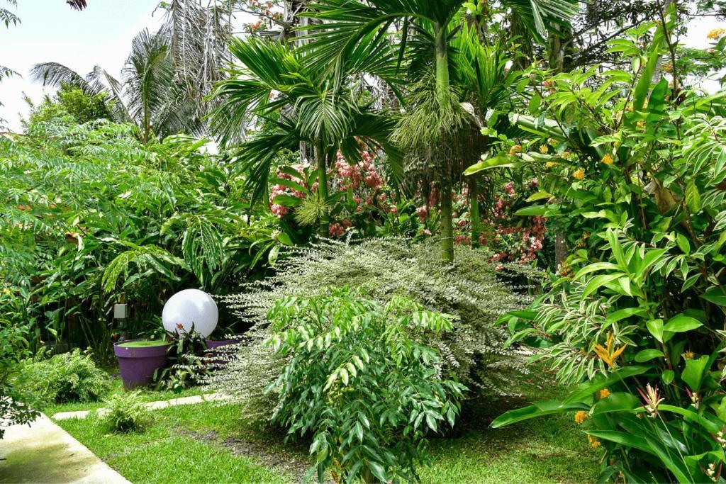 Redoute Paradise Фор-де-Франс Экстерьер фото